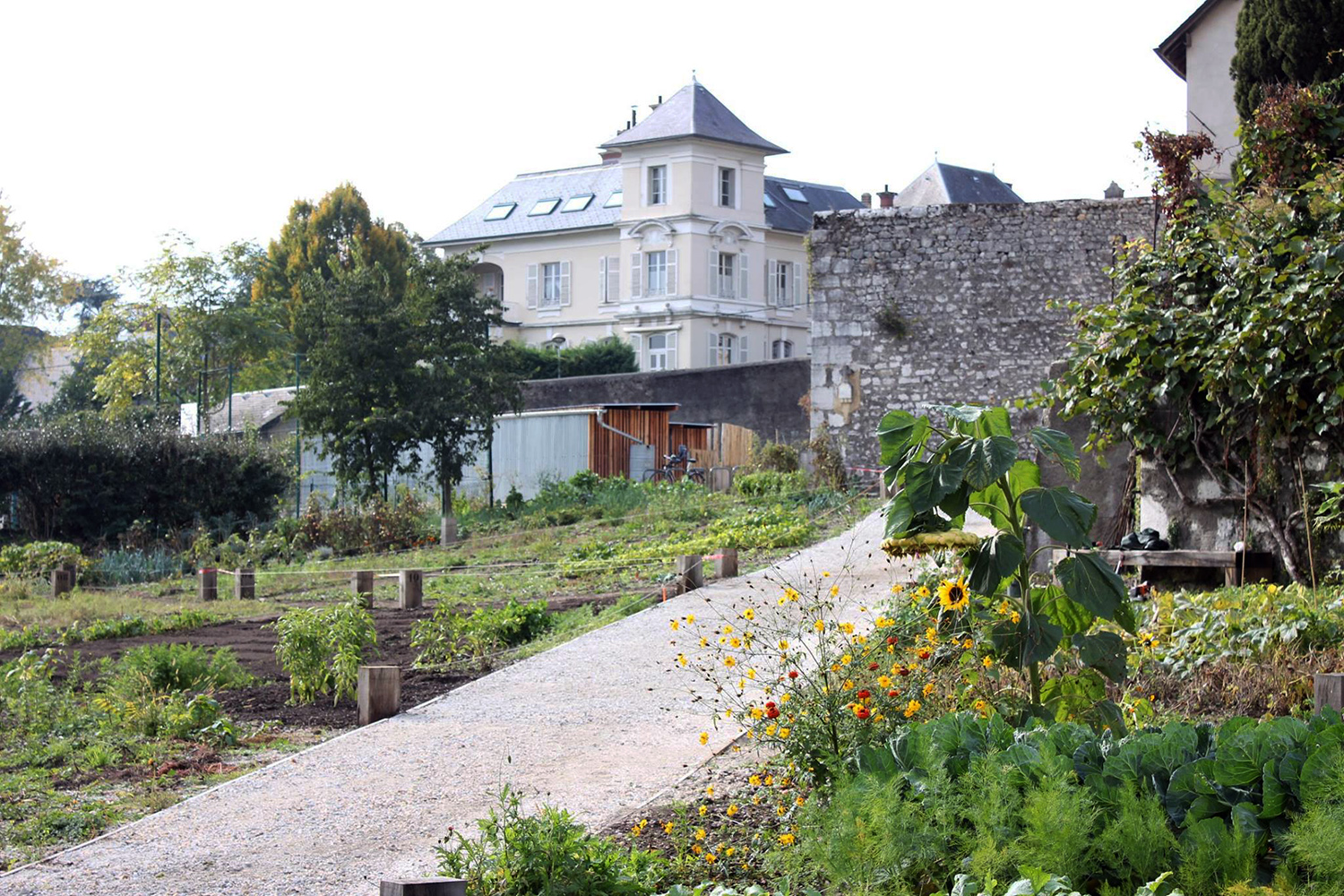 épure /// architecture & patrimoine | aménagement des jardins familiaux de Lémenc, Chambéry